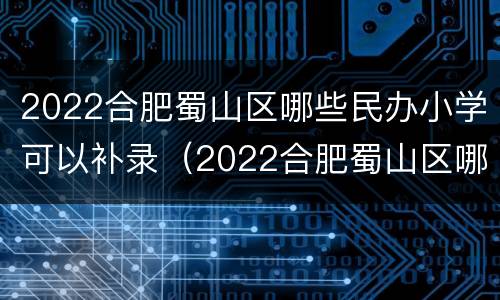 2022合肥蜀山区哪些民办小学可以补录（2022合肥蜀山区哪些民办小学可以补录入学）
