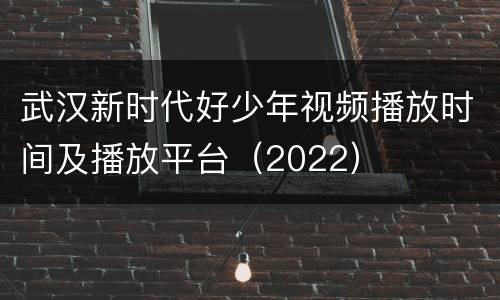 武汉新时代好少年视频播放时间及播放平台（2022）