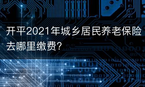 开平2021年城乡居民养老保险去哪里缴费?