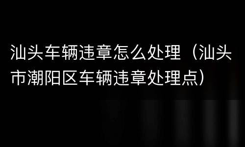 汕头车辆违章怎么处理（汕头市潮阳区车辆违章处理点）