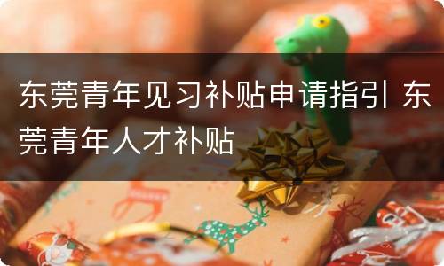 东莞青年见习补贴申请指引 东莞青年人才补贴