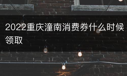 2022重庆潼南消费券什么时候领取
