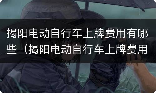 揭阳电动自行车上牌费用有哪些（揭阳电动自行车上牌费用有哪些标准）