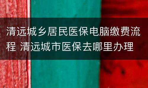 清远城乡居民医保电脑缴费流程 清远城市医保去哪里办理