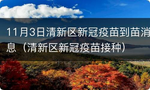 11月3日清新区新冠疫苗到苗消息（清新区新冠疫苗接种）
