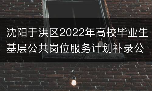 沈阳于洪区2022年高校毕业生基层公共岗位服务计划补录公告