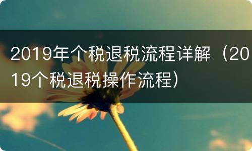 2019年个税退税流程详解（2019个税退税操作流程）
