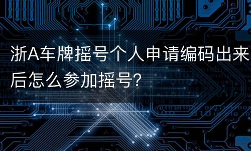 浙A车牌摇号个人申请编码出来后怎么参加摇号？