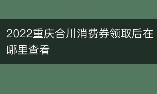 2022重庆合川消费券领取后在哪里查看