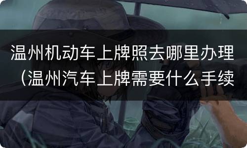 温州机动车上牌照去哪里办理（温州汽车上牌需要什么手续）