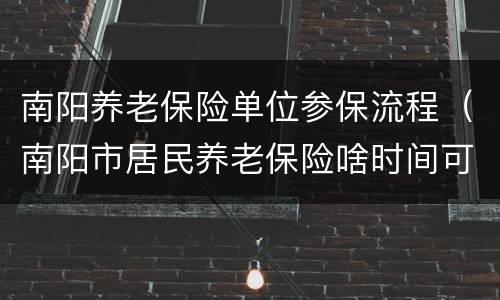 南阳养老保险单位参保流程（南阳市居民养老保险啥时间可以办理）