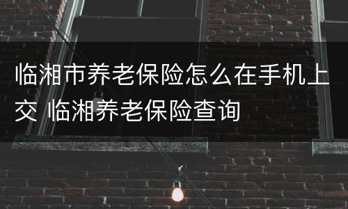 临湘市养老保险怎么在手机上交 临湘养老保险查询