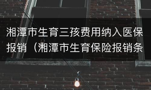 湘潭市生育三孩费用纳入医保报销（湘潭市生育保险报销条件）