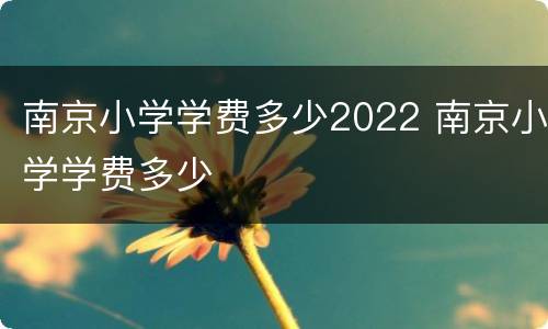 南京小学学费多少2022 南京小学学费多少