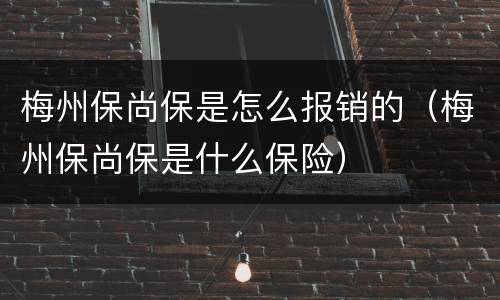 梅州保尚保是怎么报销的（梅州保尚保是什么保险）