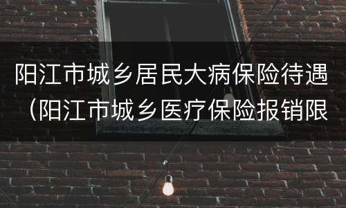 阳江市城乡居民大病保险待遇（阳江市城乡医疗保险报销限额）