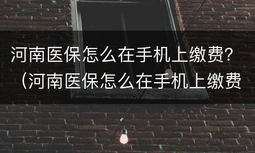河南医保怎么在手机上缴费？（河南医保怎么在手机上缴费不了）