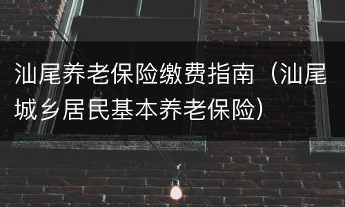 汕尾养老保险缴费指南（汕尾城乡居民基本养老保险）