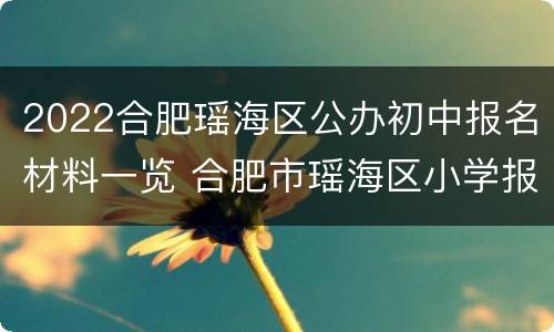 2022合肥瑶海区公办初中报名材料一览 合肥市瑶海区小学报名