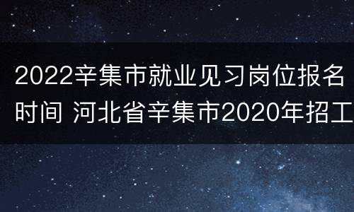 2022辛集市就业见习岗位报名时间 河北省辛集市2020年招工信息