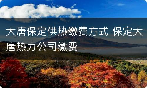 大唐保定供热缴费方式 保定大唐热力公司缴费