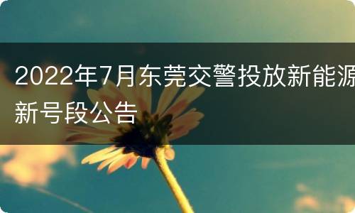 2022年7月东莞交警投放新能源新号段公告