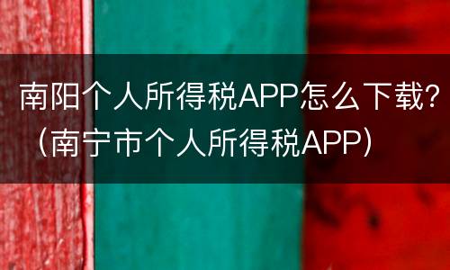 南阳个人所得税APP怎么下载？（南宁市个人所得税APP）