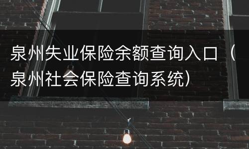 泉州失业保险余额查询入口（泉州社会保险查询系统）