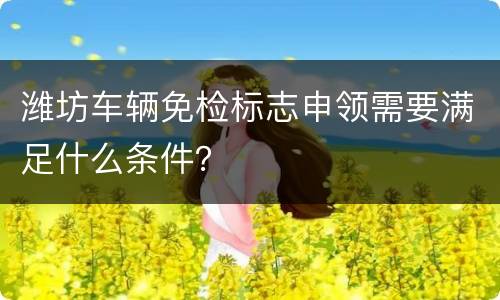潍坊车辆免检标志申领需要满足什么条件？