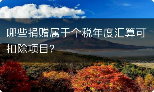 哪些捐赠属于个税年度汇算可扣除项目？