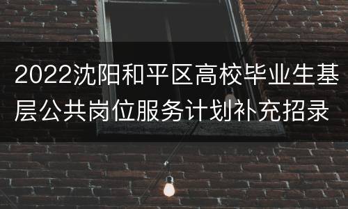 2022沈阳和平区高校毕业生基层公共岗位服务计划补充招录公告