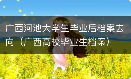 广西河池大学生毕业后档案去向（广西高校毕业生档案）