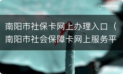 南阳市社保卡网上办理入口（南阳市社会保障卡网上服务平台）