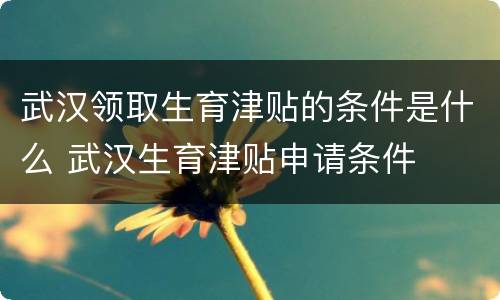 武汉领取生育津贴的条件是什么 武汉生育津贴申请条件