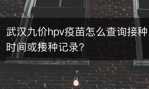 武汉九价hpv疫苗怎么查询接种时间或接种记录？