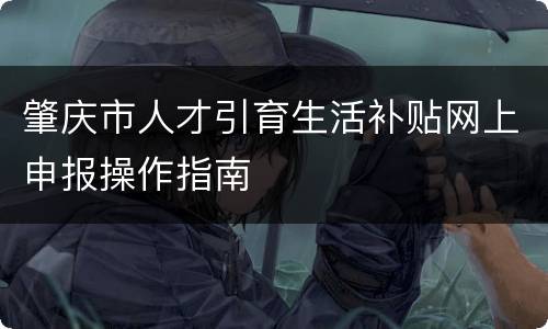 肇庆市人才引育生活补贴网上申报操作指南
