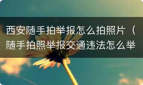 西安随手拍举报怎么拍照片（随手拍照举报交通违法怎么举报）