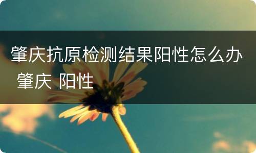 肇庆抗原检测结果阳性怎么办 肇庆 阳性