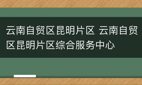 云南自贸区昆明片区 云南自贸区昆明片区综合服务中心