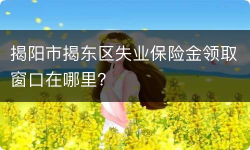 揭阳市揭东区失业保险金领取窗口在哪里？