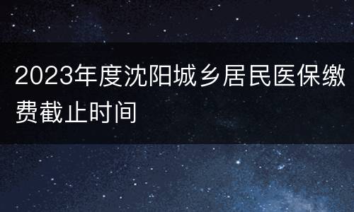 2023年度沈阳城乡居民医保缴费截止时间