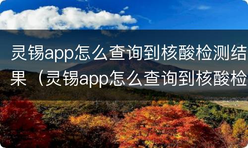 灵锡app怎么查询到核酸检测结果（灵锡app怎么查询到核酸检测结果时间）