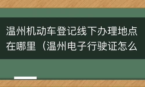 温州机动车登记线下办理地点在哪里（温州电子行驶证怎么办理）