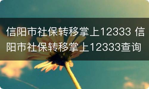 信阳市社保转移掌上12333 信阳市社保转移掌上12333查询