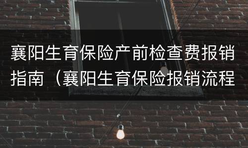 襄阳生育保险产前检查费报销指南（襄阳生育保险报销流程）