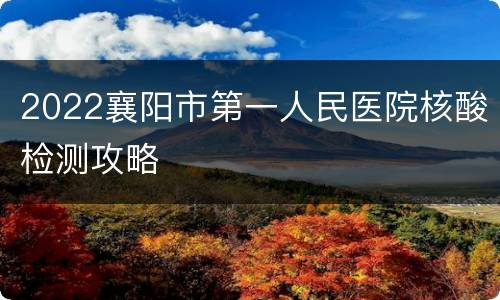 2022襄阳市第一人民医院核酸检测攻略
