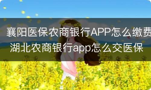 襄阳医保农商银行APP怎么缴费 湖北农商银行app怎么交医保
