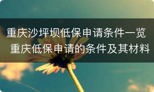 重庆沙坪坝低保申请条件一览 重庆低保申请的条件及其材料