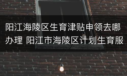 阳江海陵区生育津贴申领去哪办理 阳江市海陵区计划生育服务中心