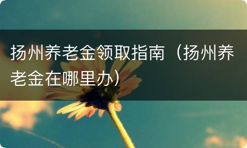 扬州养老金领取指南（扬州养老金在哪里办）